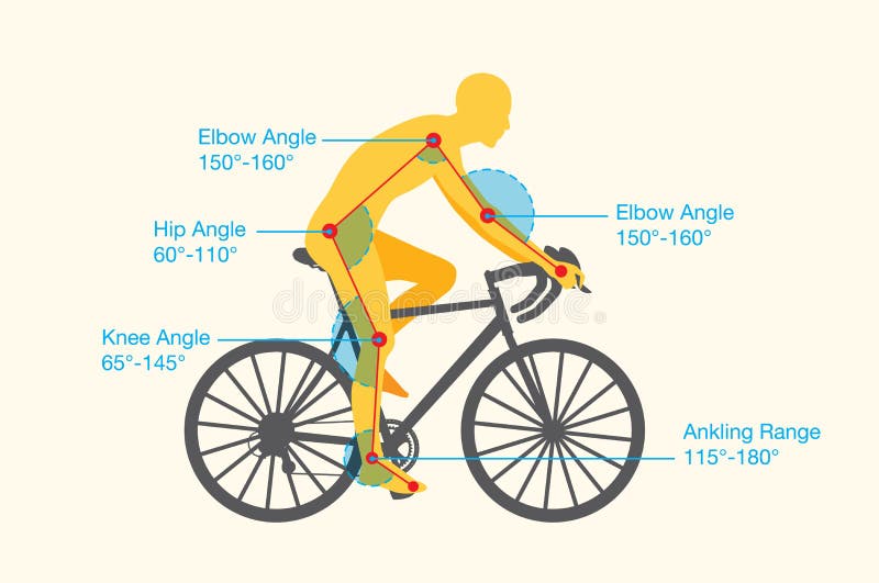 bike fitting baseline