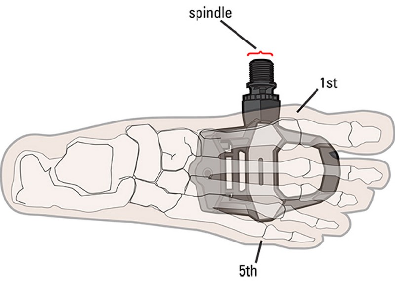 cycling pedal contact