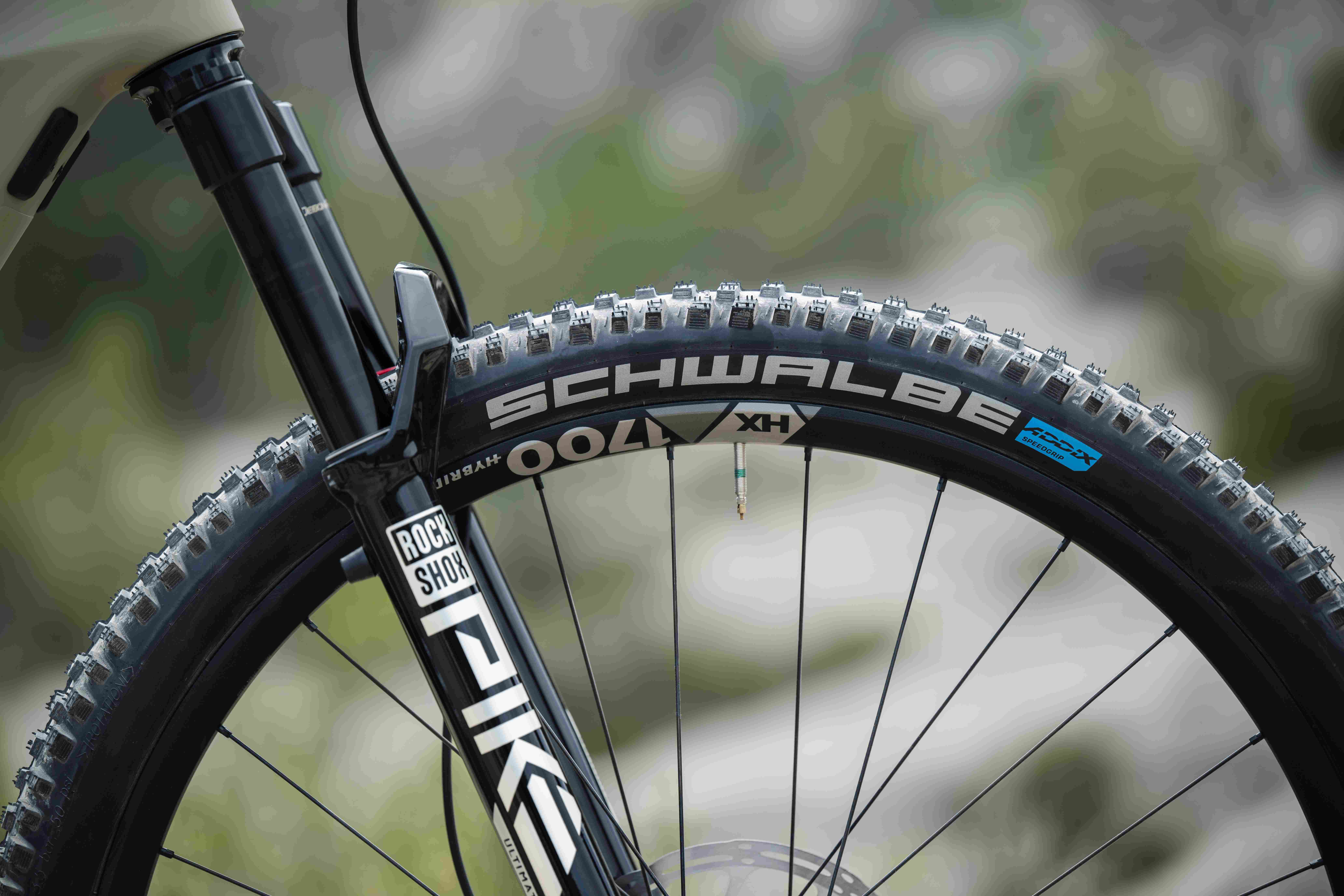 Presta Schrader valves